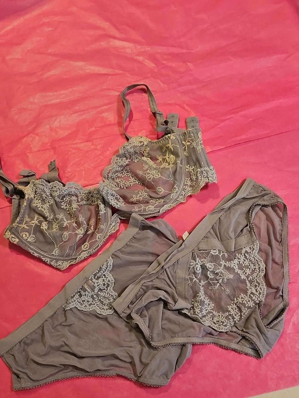 Free People Lace Embroidered Underwire Bra & 2 Pairs Matching Brief 0252